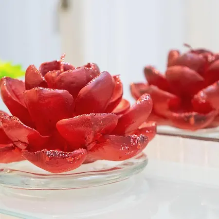 Romantic House Apartamento